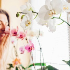 Truques simples para manter a casa aromatizada o dia inteiro