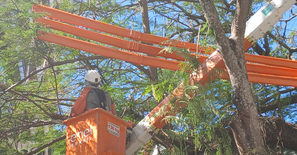 PODAS NA REGIÃO DE ICARAÍ, EM NITERÓI
