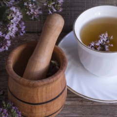 O orégano é uma fonte natural de vitaminas, minerais essenciais e compostos antioxidantes - Créditos: depositphotos.com / irina999irina