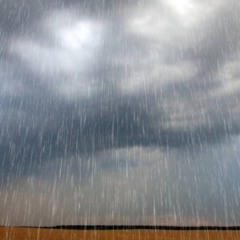 Créditos: depositphotos.com / BalazsKovacs