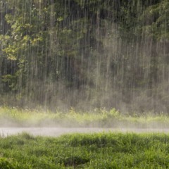 Cheiro de chuva: conheça os segredos deste fenômeno