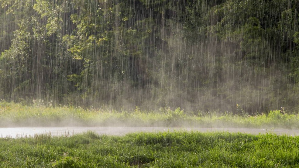 Cheiro de chuva: conheça os segredos deste fenômeno