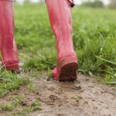 O aroma de chuva é resultado de compostos orgânicos que se liberam quando a água das primeiras gotas entra em contato com o solo seco - Créditos: depositphotos.com / justinkendra