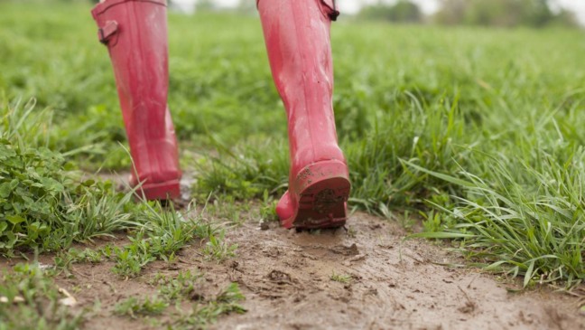 O aroma de chuva é resultado de compostos orgânicos que se liberam quando a água das primeiras gotas entra em contato com o solo seco - Créditos: depositphotos.com / justinkendra