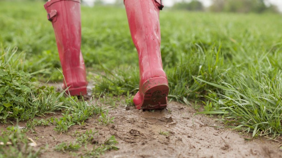 O aroma de chuva é resultado de compostos orgânicos que se liberam quando a água das primeiras gotas entra em contato com o solo seco - Créditos: depositphotos.com / justinkendra