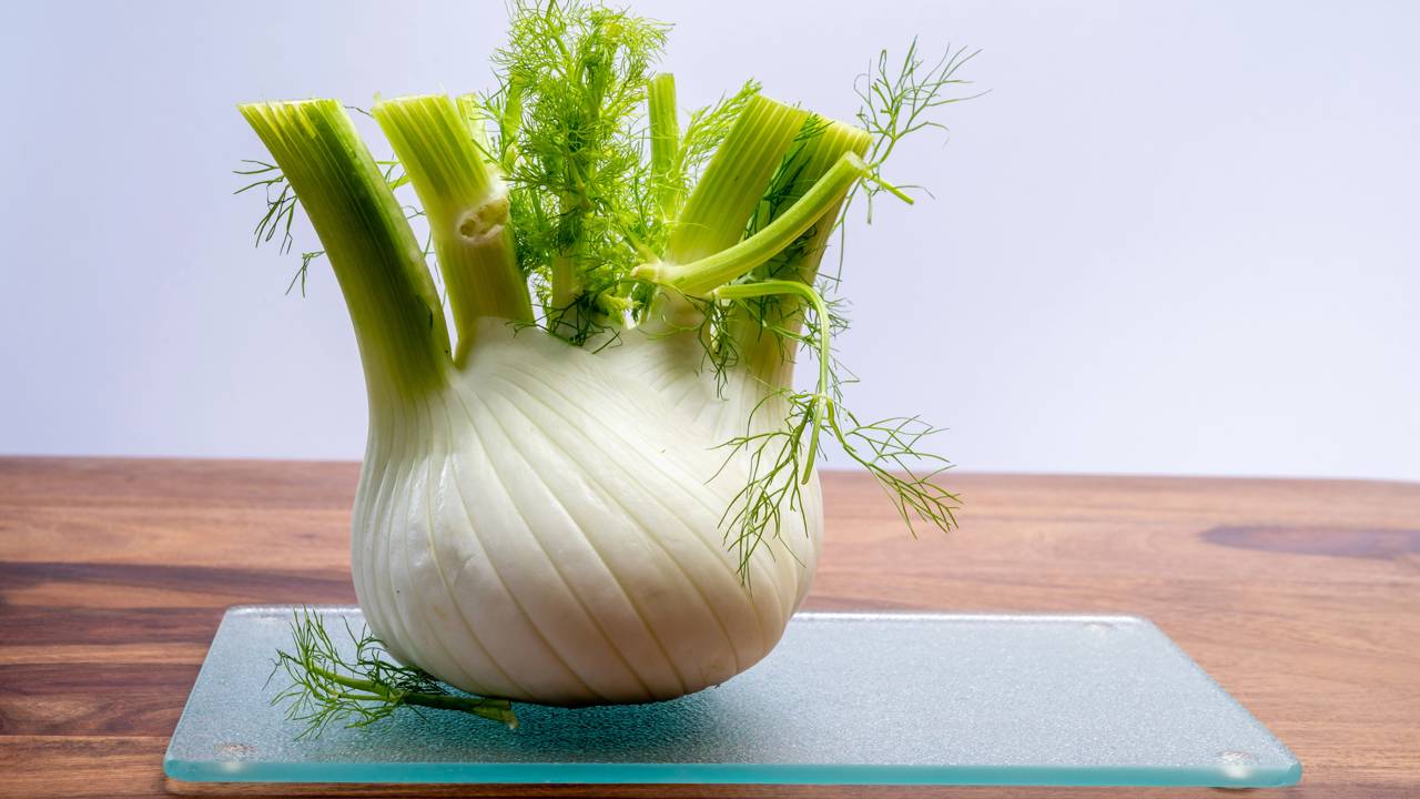 Plante erva-doce e aprenda como cuidar da planta que alivia o estresse