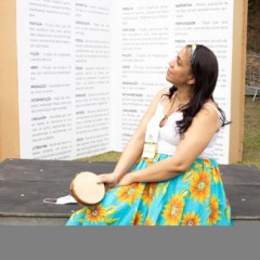 Histórias e Celebrações Afro-Brasileiras