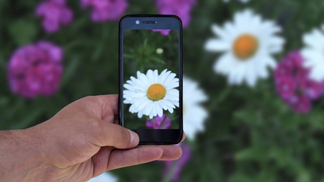 Melhore suas fotos no celular em minutos com esses ajustes