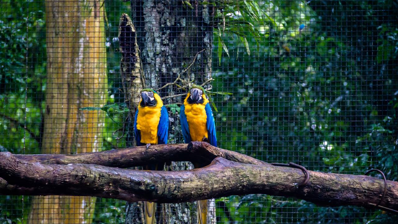 Natureza e diversão no destino paranaense que todo brasileiro precisa conhecer