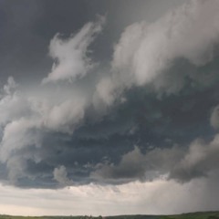 Créditos: depositphotos.com / starush