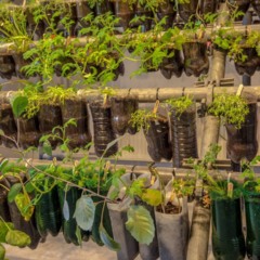 Uma transição cuidadosa para a lista ajuda a entender o que não pode faltar nessa prática sustentável - Créditos: depositphotos.com / CreativeNature