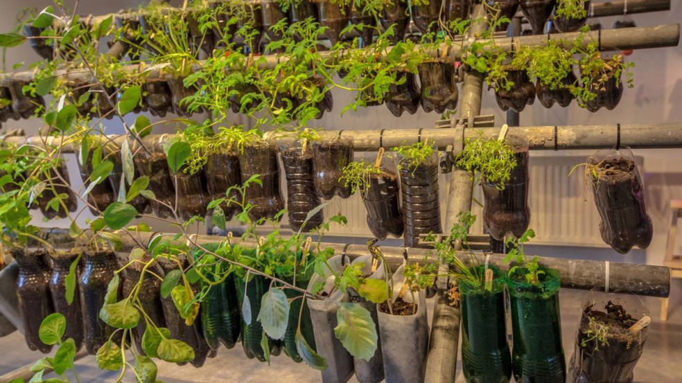 Uma transição cuidadosa para a lista ajuda a entender o que não pode faltar nessa prática sustentável - Créditos: depositphotos.com / CreativeNature