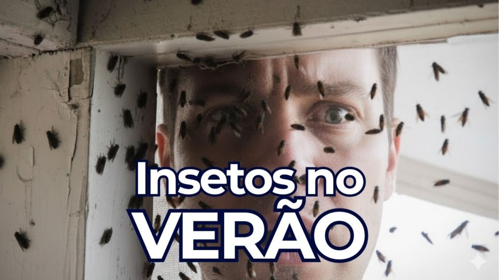 Eles estão chegando: por que aparecem mais insetos no verão? Eles estão chegando: por que aparecem mais insetos no verão?