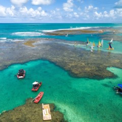 A natureza exuberante da Barreira de Corais brasileira te espera
