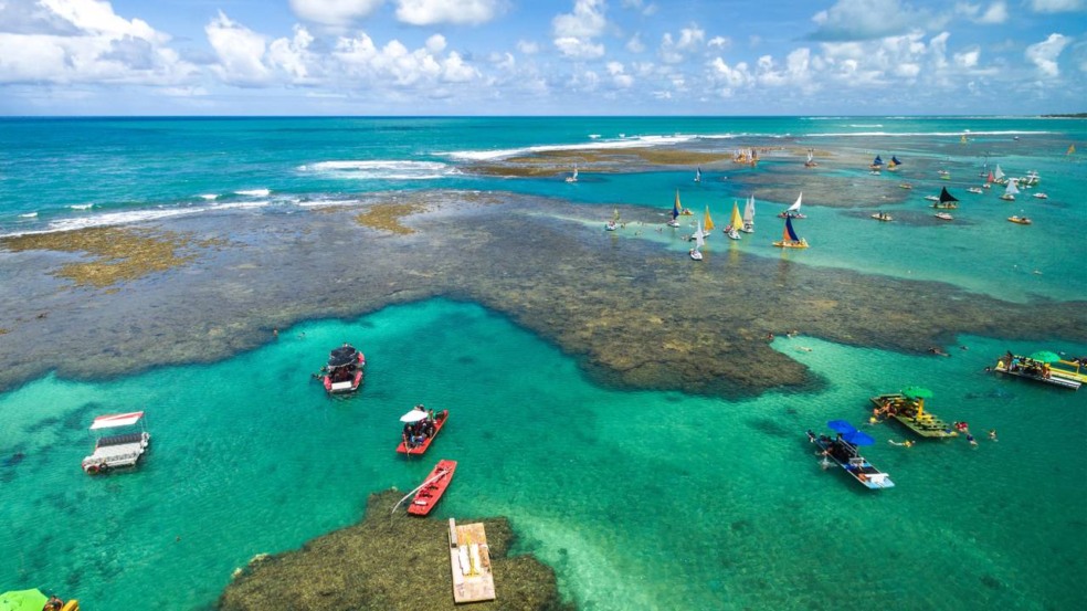 A natureza exuberante da Barreira de Corais brasileira te espera