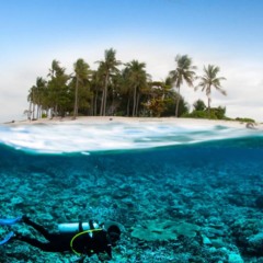Mergulhe nas águas cristalinas das praias do Sudeste neste verão