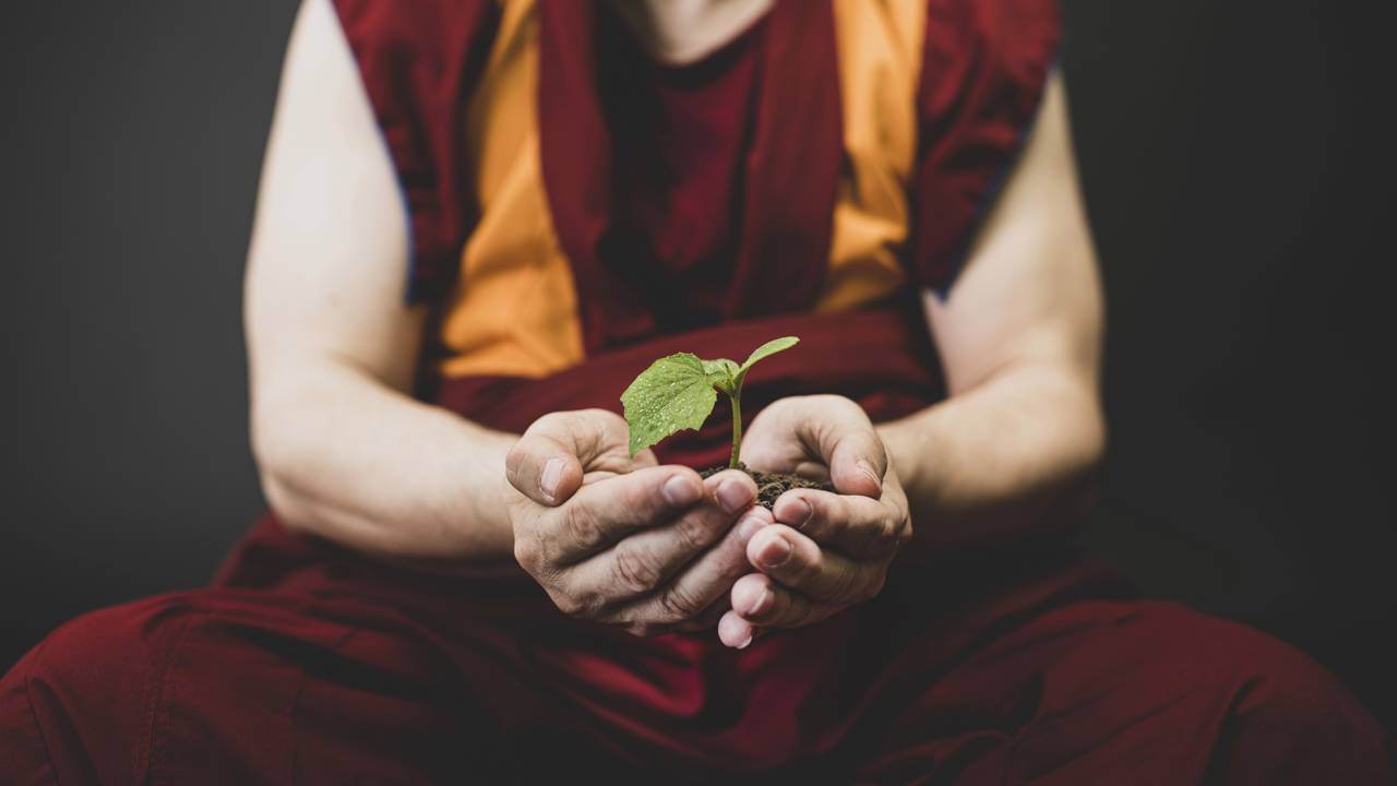 O segredo dos monges tibetanos para manter a mente calma o dia inteiro