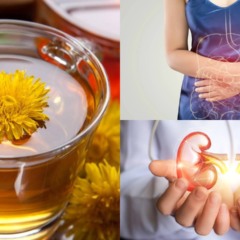 O diferencial do dente-de-leão está no seu perfil nutricional bastante completo - Créditos: depositphotos.com / madorf / Créditos: depositphotos.com / NataliMis / Créditos: depositphotos.com / Tharakorn