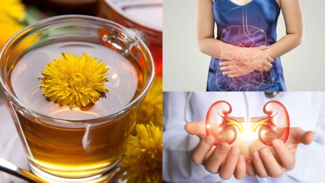 O diferencial do dente-de-leão está no seu perfil nutricional bastante completo - Créditos: depositphotos.com / madorf / Créditos: depositphotos.com / NataliMis / Créditos: depositphotos.com / Tharakorn