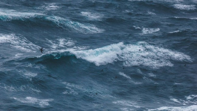 Créditos: depositphotos.com / IraGirichBO