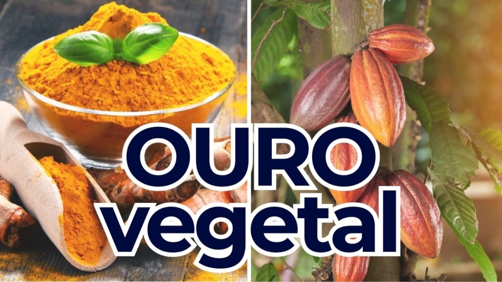 Estes frutos comuns já foram símbolo de poder e valiam ouro Estes frutos comuns já foram símbolo de poder e valiam ouro