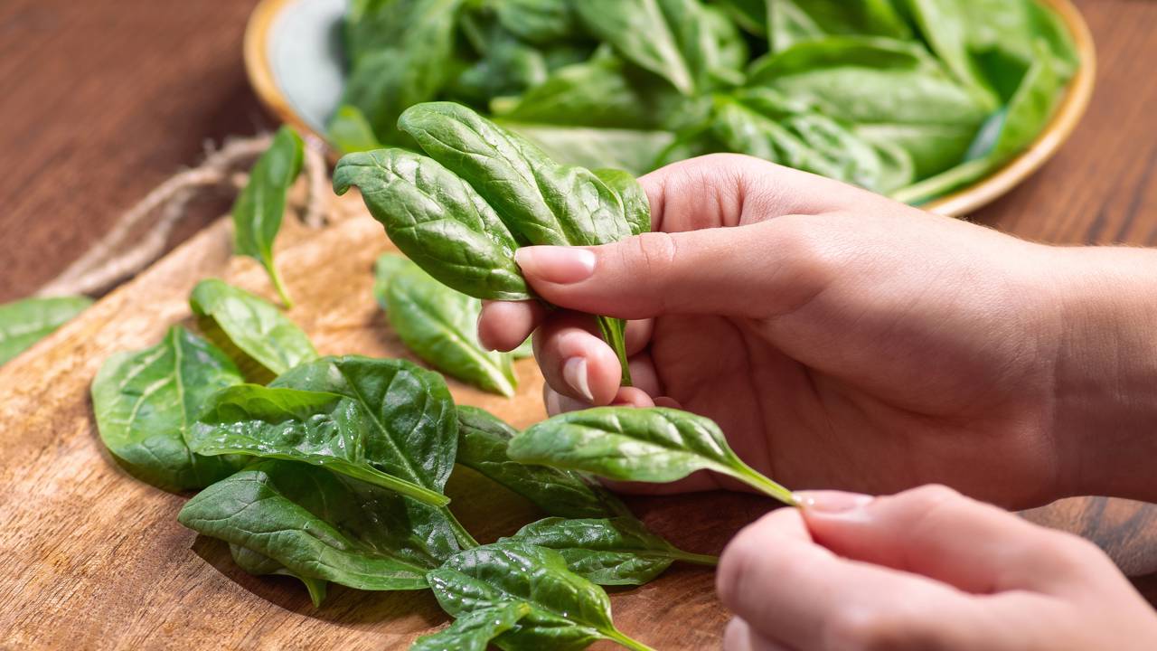 Como plantar espinafre e colher folhas frescas sem precisar de muito espaço