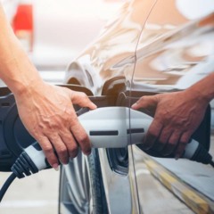 Créditos: depositphotos.com / tongpatong