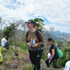 reflorestamento-santo-inacio