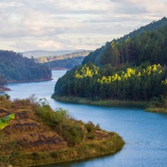 Os rios que correm ao contrário e intrigam pesquisadores