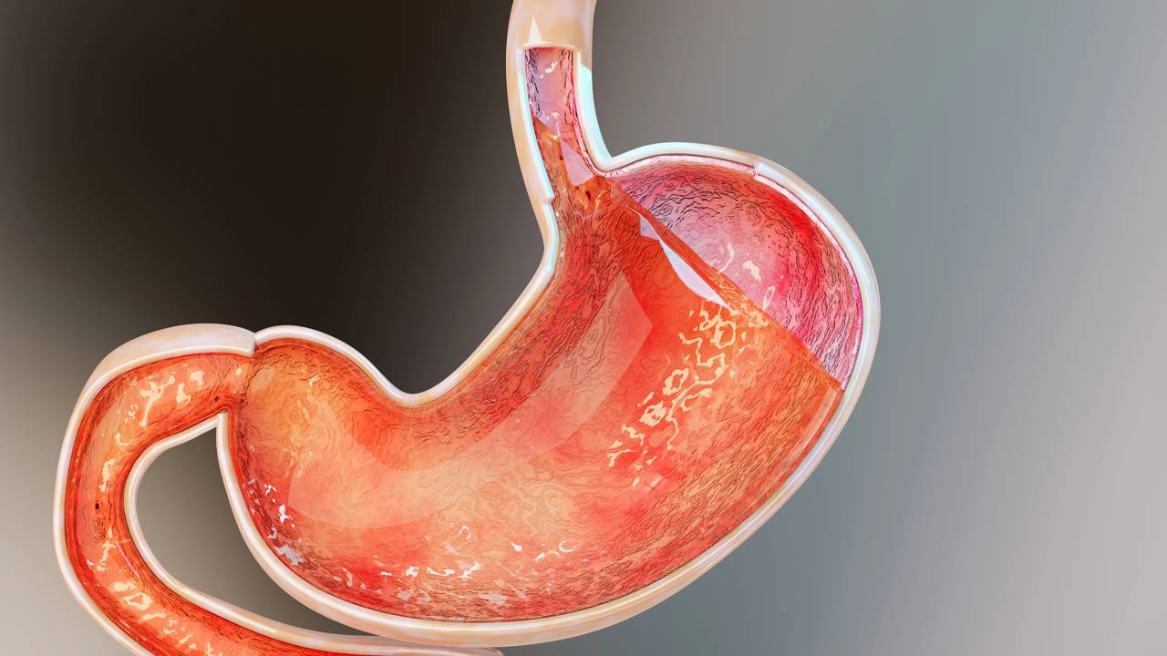 A química impressionante que impede o estômago de se autodestruir