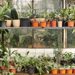 Eles são conhecidos por serem biodegradáveis e terem menor impacto ambiental - Créditos: depositphotos.com / IgorVetushko