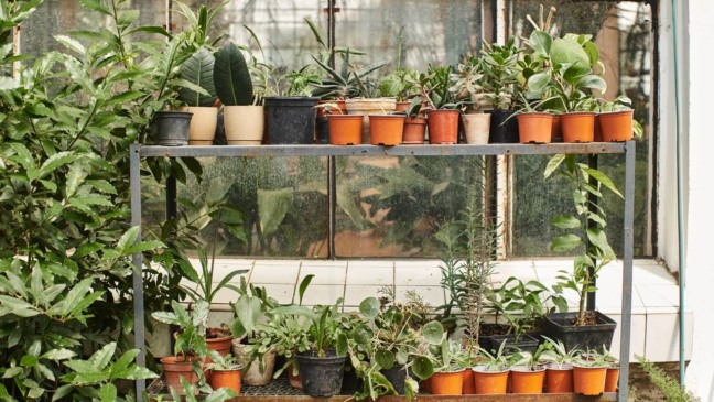 Eles são conhecidos por serem biodegradáveis e terem menor impacto ambiental - Créditos: depositphotos.com / IgorVetushko