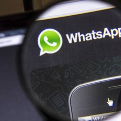 O erro que pode te fazer perder todas as suas conversas do WhatsApp