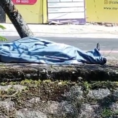 Reprodução/Redes Sociais