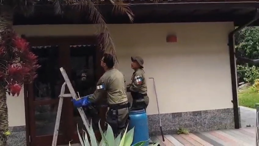 Divulgação Divulgação