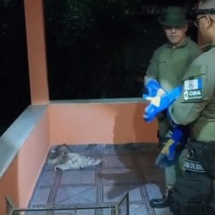 Divulga&ccedil;&atilde;o