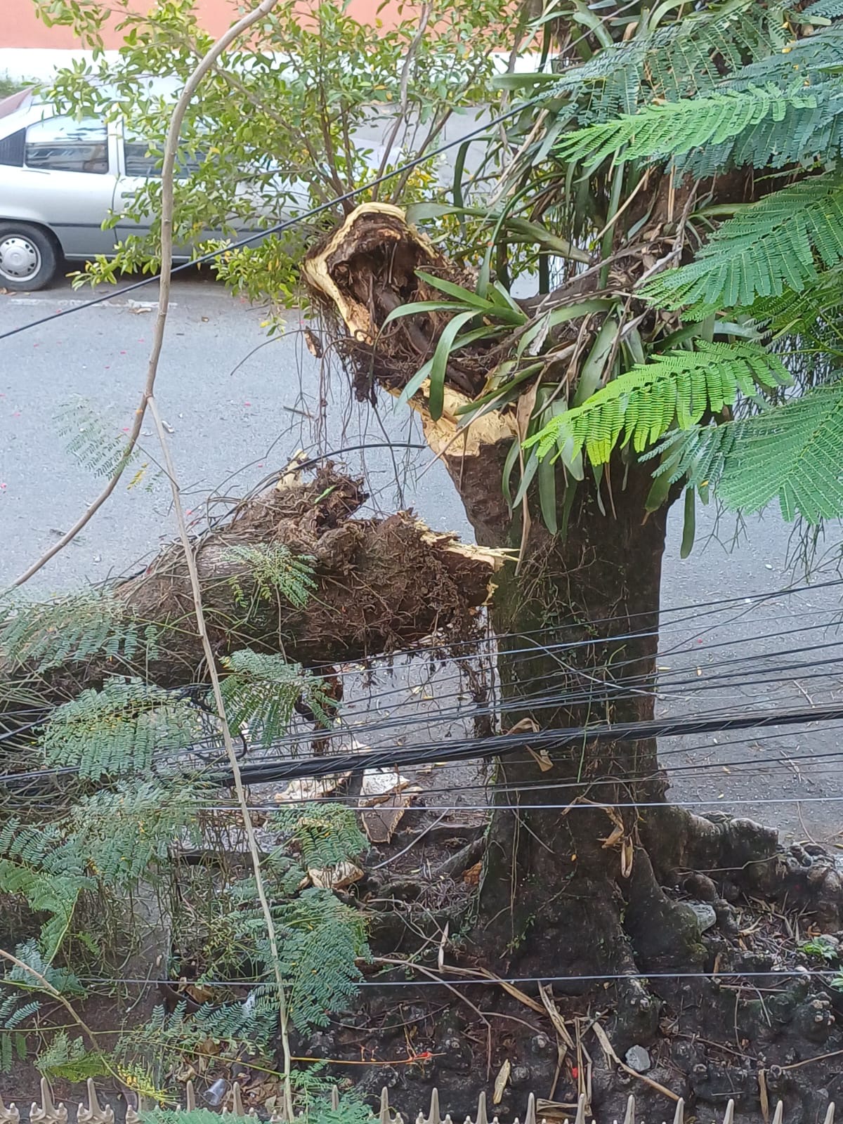 Foto: Juliana Lohmann Foto: Juliana Lohmann