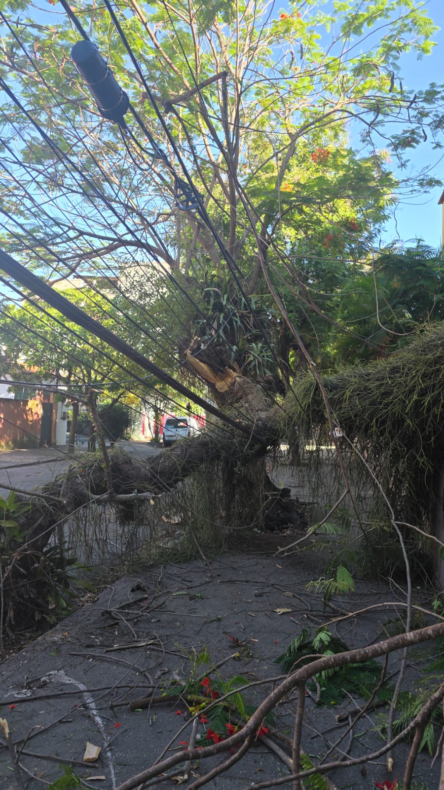 Foto: Juliana Lohmann Foto: Juliana Lohmann