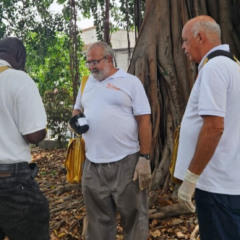 ações contra a dengue