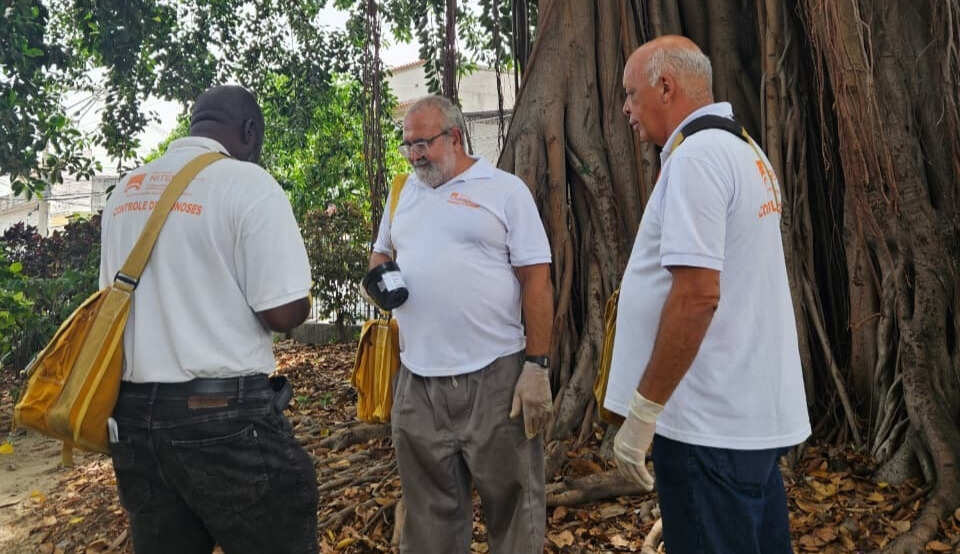 ações contra a dengue