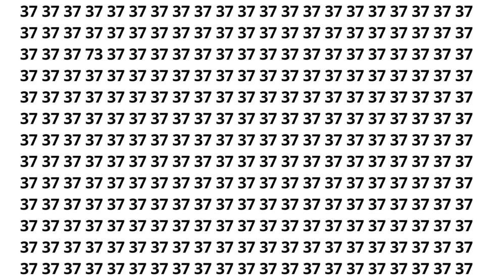 O maior desafio visual do ano: Onde está o número 28? O maior desafio visual do ano: Onde está o número 28?