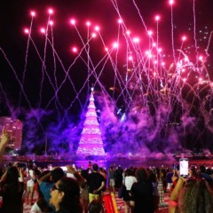 A Árvore e Natal da Enseada de Botafogo foi inaugurada no dia 30 de novembro | Fabio Motta/Prefeitura do Rio