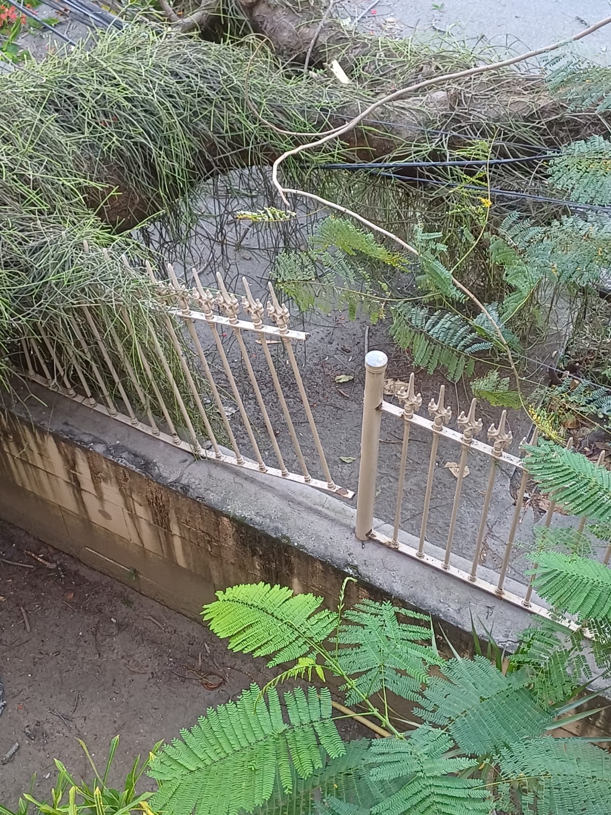 Foto: Juliana Lohmann Foto: Juliana Lohmann