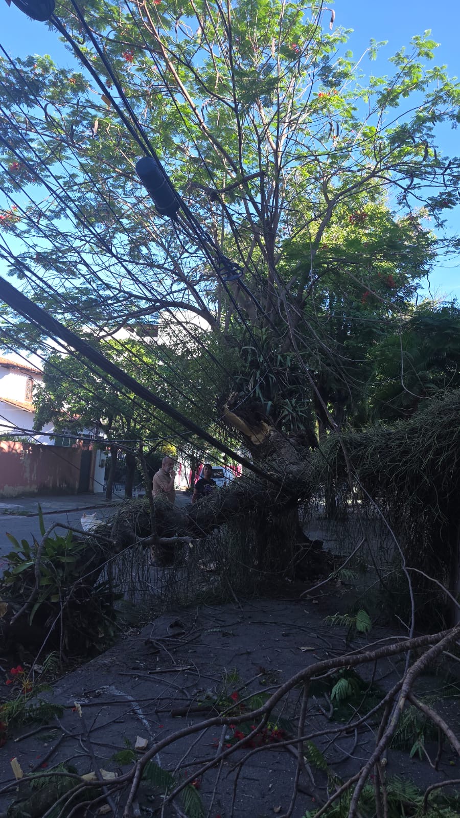 Foto: Juliana Lohmann Foto: Juliana Lohmann