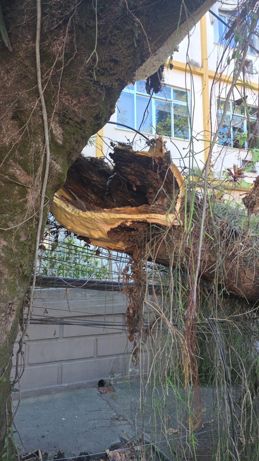 Foto: Juliana Lohmann Foto: Juliana Lohmann