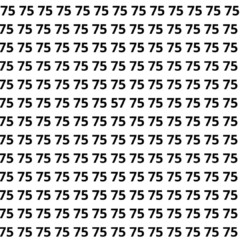 8 segundos para encontrar o número entre multidões de 75 