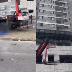 Reprodu&ccedil;&atilde;o