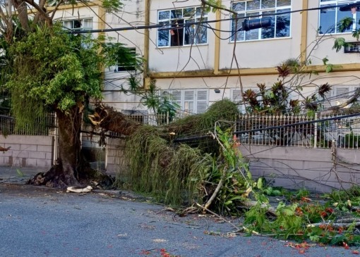 Foto: Juliana Lohmann