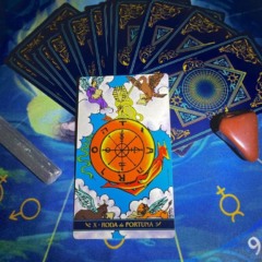 Foto: Juliana Viveiros