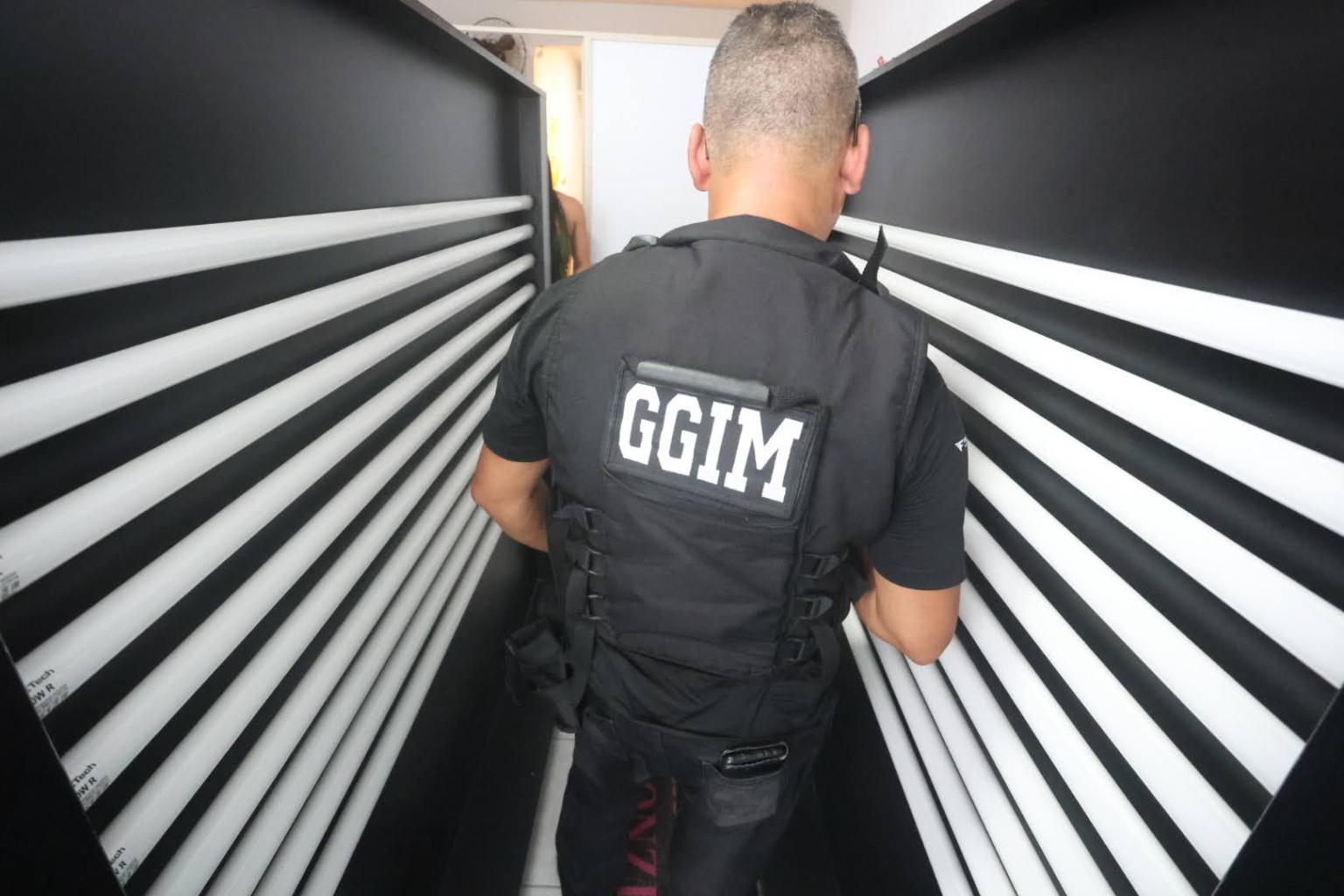 Divulga&ccedil;&atilde;o